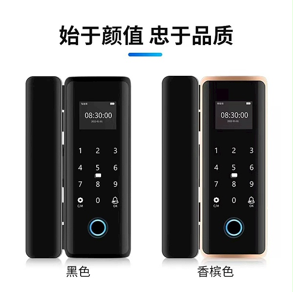 B05玻璃门锁颜色